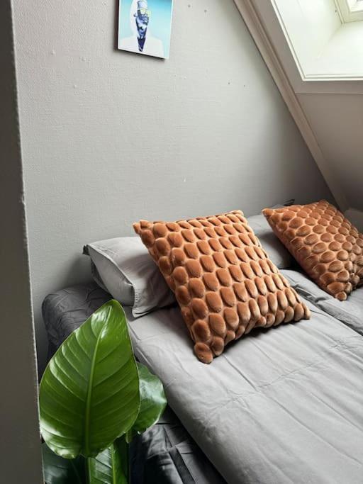 טרונדהיים Urban Loftleilighet מראה חיצוני תמונה